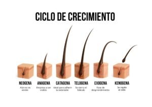 cabello